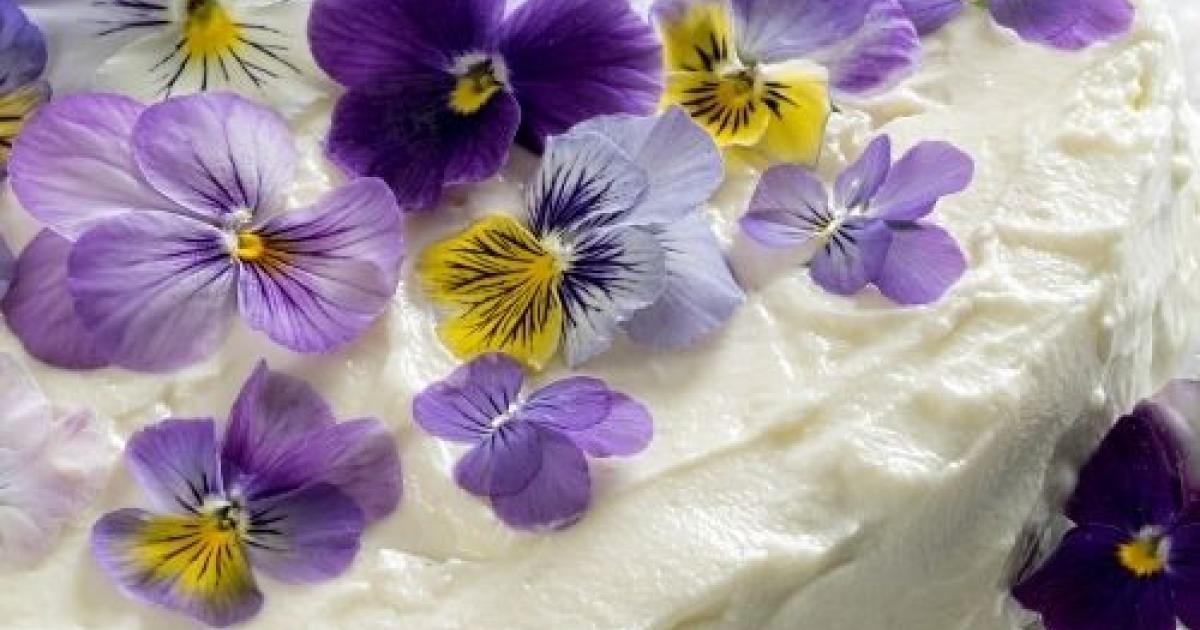 Edible Flowers